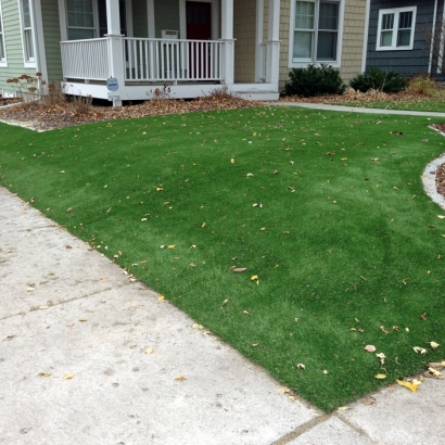 Synthetic Grass Oak Ridge Texas Landscape Front Yard