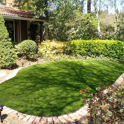 Artificial Turf Grandview Texas Lawn Back Yard