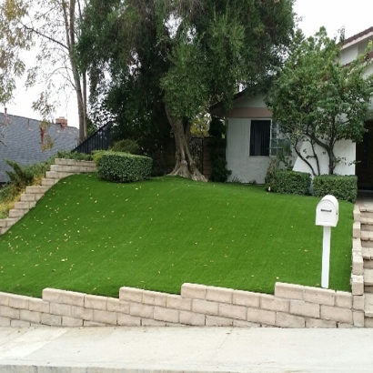 Synthetic Turf Shady Shores Texas Landscape Front Yard