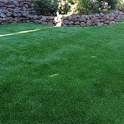 Fake Grass Westlake Texas Landscape Front Yard