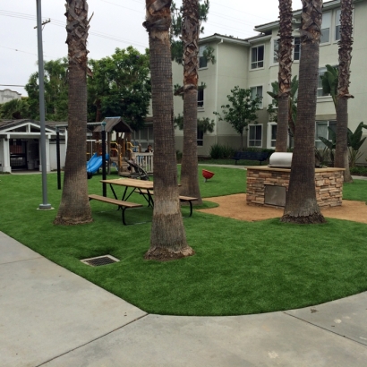 Artificial Grass Glenn Heights Texas Landscape Commercial