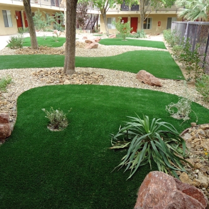 Synthetic Grass Kennedale Texas Landscape Front Yard