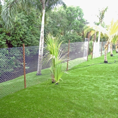 Synthetic Grass Lucas Texas Childcare Facilities Front Yard