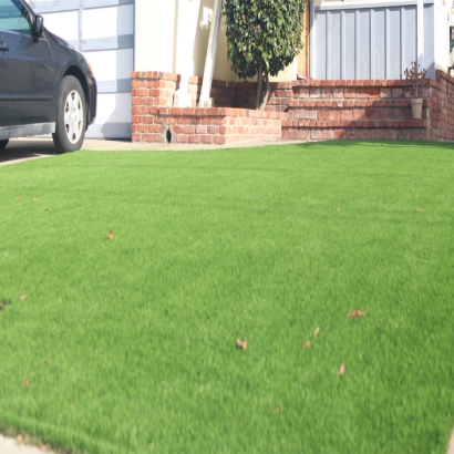 Synthetic Grass Pecan Acres Texas Landscape Front Yard