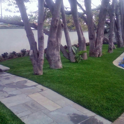 Artificial Turf Roanoke Texas Landscape Back Yard