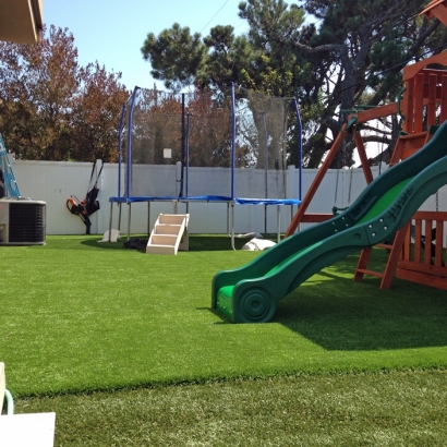 Artificial Grass The Colony Texas Childcare Facilities Parks