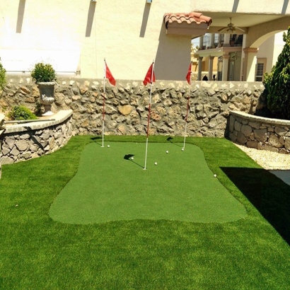 Artificial Turf Hackberry Texas Landscape Back Yard