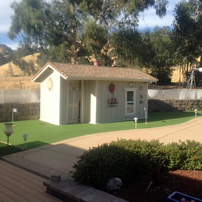 Synthetic Turf Oak Grove Texas Landscape Back Yard