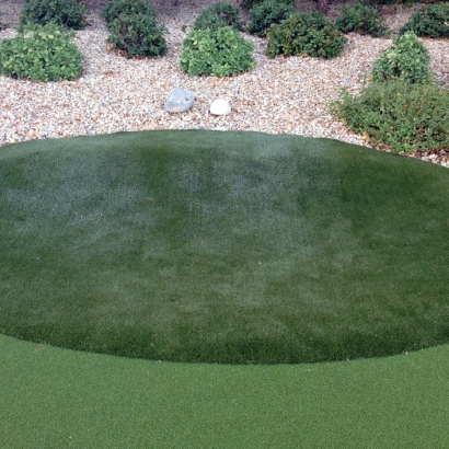 Fake Pet Grass Oak Grove Texas Installation Front Yard