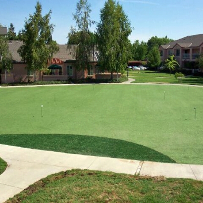 Putting Greens New Fairview Texas Synthetic Grass Back Yard