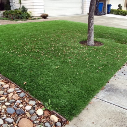 Fake Grass Rice Texas Landscape Commercial Landscape