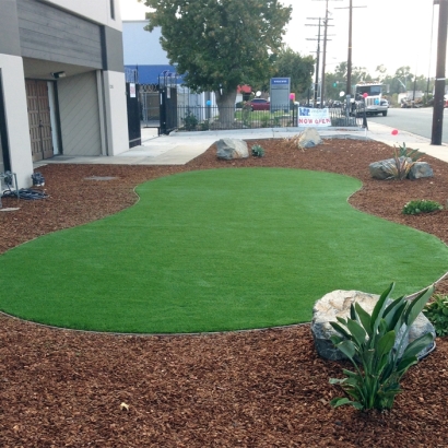 Fake Turf Aubrey Texas Lawn Front Yard