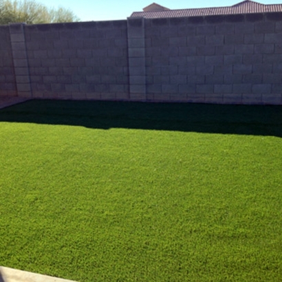 Artificial Grass Krum Texas Landscape Pools Back Yard