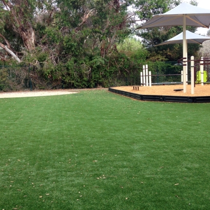 Artificial Turf Hickory Creek Texas Kids Care Back Yard