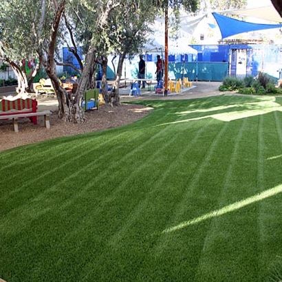 Golf Putting Greens Venus Texas Artificial Turf Back Yard