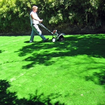 Fake Grass Ennis Texas Lawn Dogs Runs Front Yard