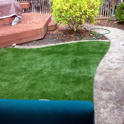 Synthetic Grass Caddo Mills Texas Lawn Back Yard