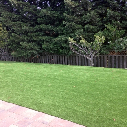 Putting Greens Argyle Texas Synthetic Grass Front Yard