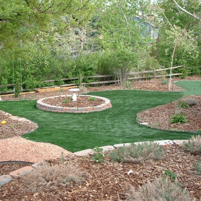 Artificial Grass Pilot Point Texas Landscape Back Yard