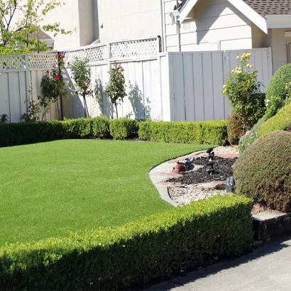 Artificial Grass Elmo Texas Lawn Front Yard