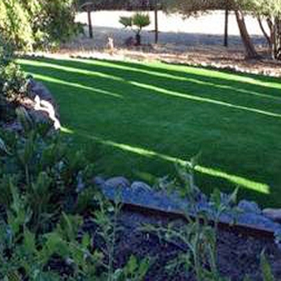 Artificial Turf Little Elm Texas Lawn Back Yard