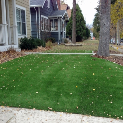 Artificial Grass Combine Texas Lawn Back Yard