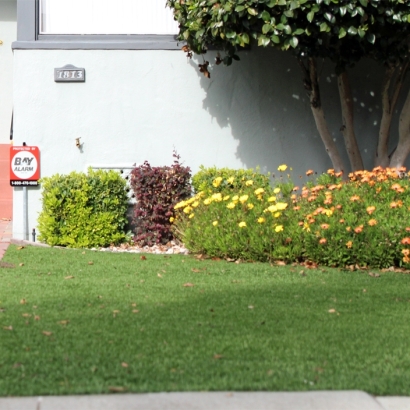 Artificial Turf Ponder Texas Lawn Front Yard