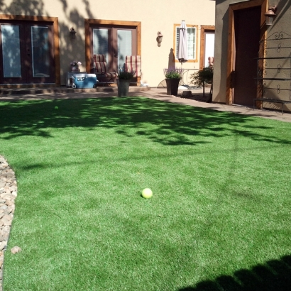 Fake Grass Frisco Texas Lawn Back Yard