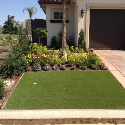 Putting Greens Hackberry Texas Fake Grass Front Yard