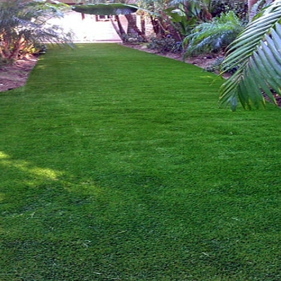 Fake Grass Joshua Texas Landscape Front Yard