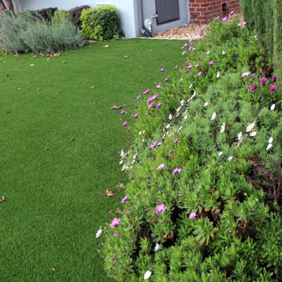 Synthetic Grass Krum Texas Landscape Back Yard