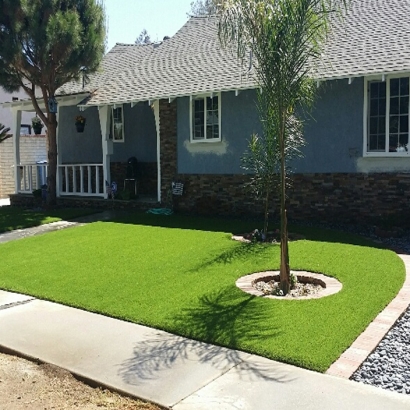 Synthetic Turf Venus Texas Landscape Front Yard