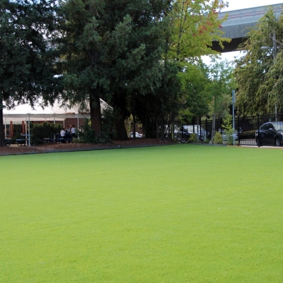 Artificial Grass Post Oak Bend City Texas Lawn Front Yard