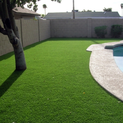 Fake Turf Forest Hill Texas Lawn Back Yard